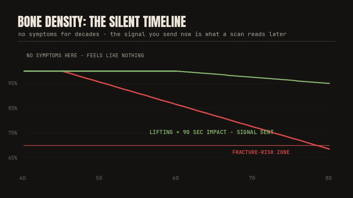 Silent decline timeline: bone thins without symptoms until the first fracture
